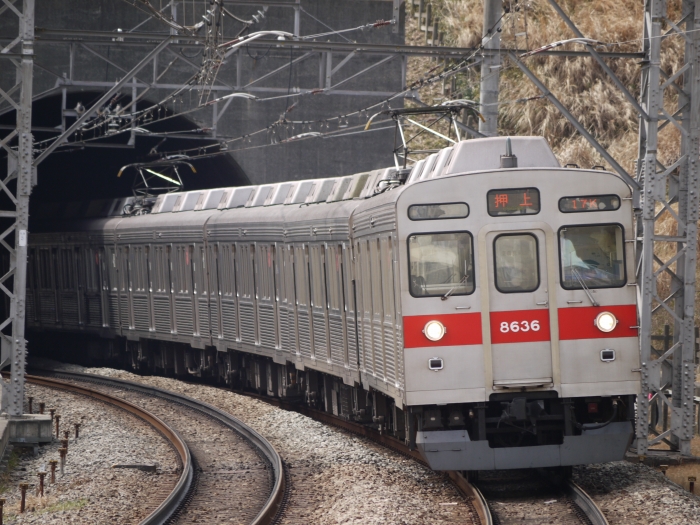 photo(25) 175s.jpg(343319 byte)